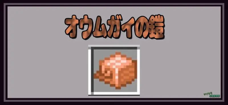 オウムガイの鎧